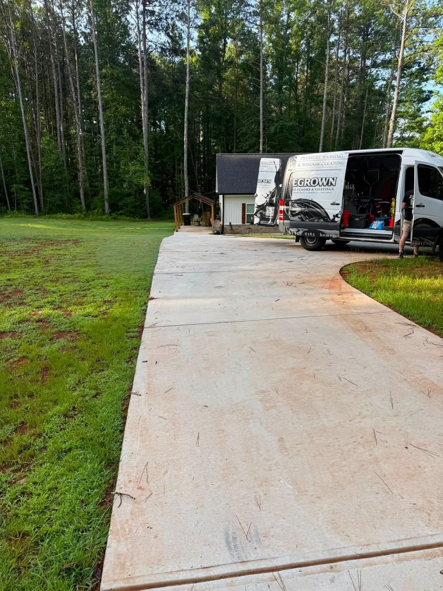 Driveway covered in pine straw and debris before pressure washing